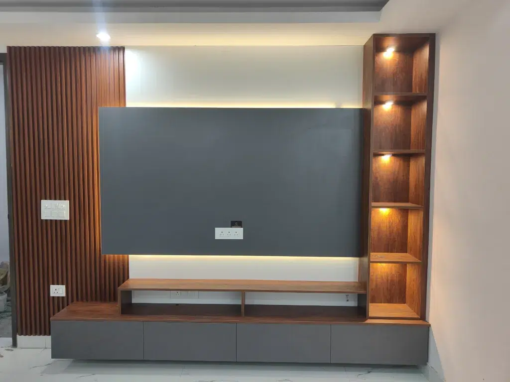TV UNIT/ ENTERTAINMENT project image work done at SOUTH DELHI